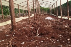 WhatsApp-Image-2025-07-15-at-6.10.10-PM