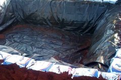 WhatsApp-Image-2025-07-15-at-6.10.18-PM-2