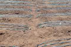 WhatsApp-Image-2025-07-17-at-5.17.11-PM-1