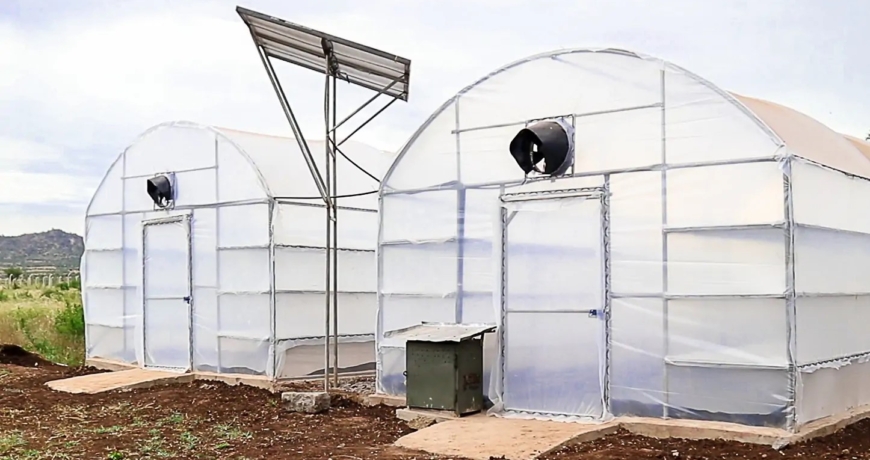Solar Drying Solutions for Agricultural Produce in Kenya
