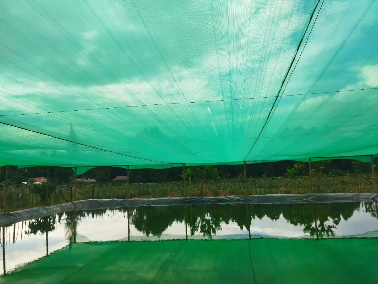 Best Dam Liner Suppliers in Kenya