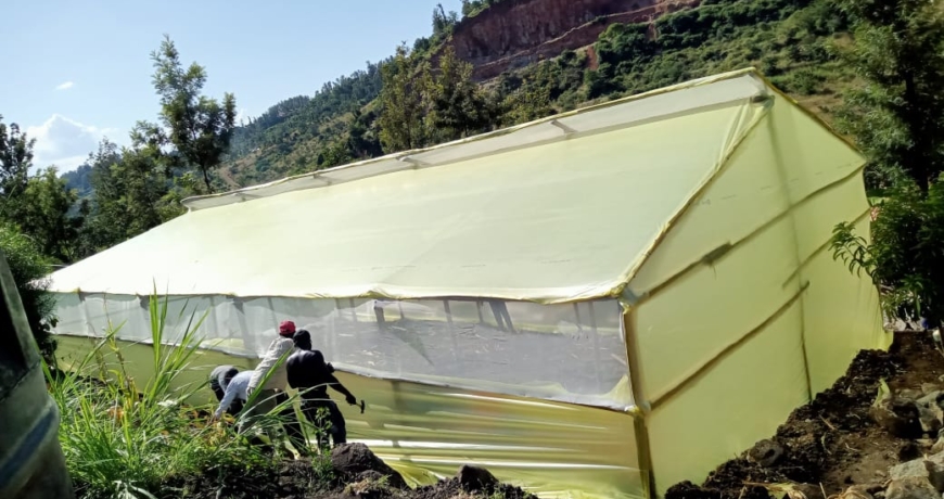 Cost of Wooden Greenhouses in Kenya