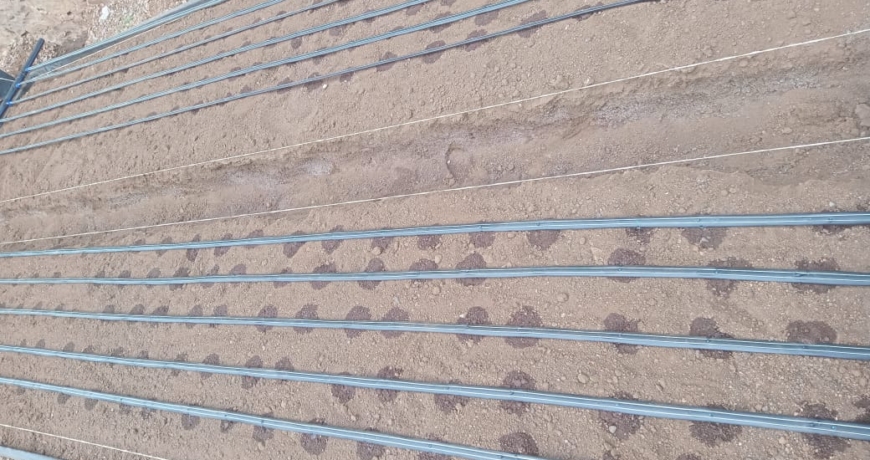How to Install Drip Irrigation in Kenya 