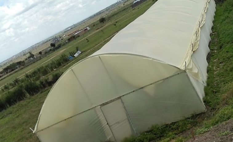 Greenhouse Suppliers in Kenya