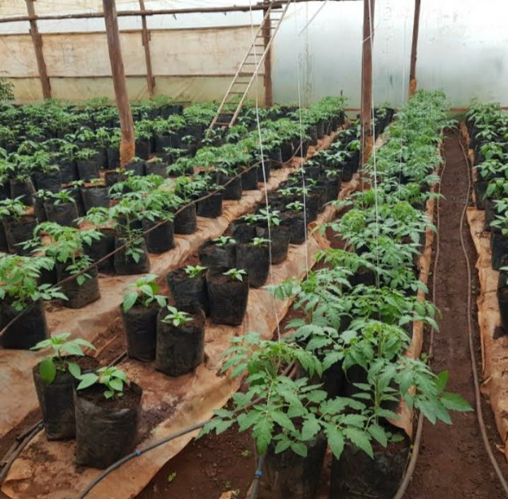 Namani Irrigation Systems and Green house Construction Solutions Experts Transforming Agriculture in Kenya