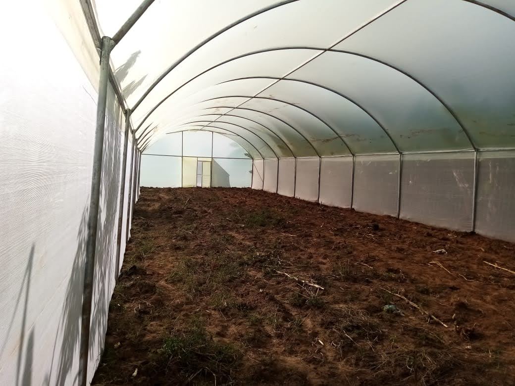 Effective Greenhouse Designs in Kenya