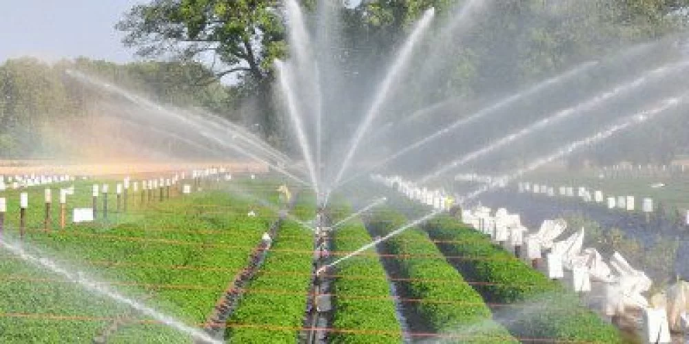 Irrigation Sprinklers and rain guns: Installation and sale of components in Kenya