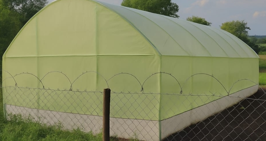 The Ultimate Guide to Greenhouses in Kenya: Benefits, Costs, and Best Suppliers