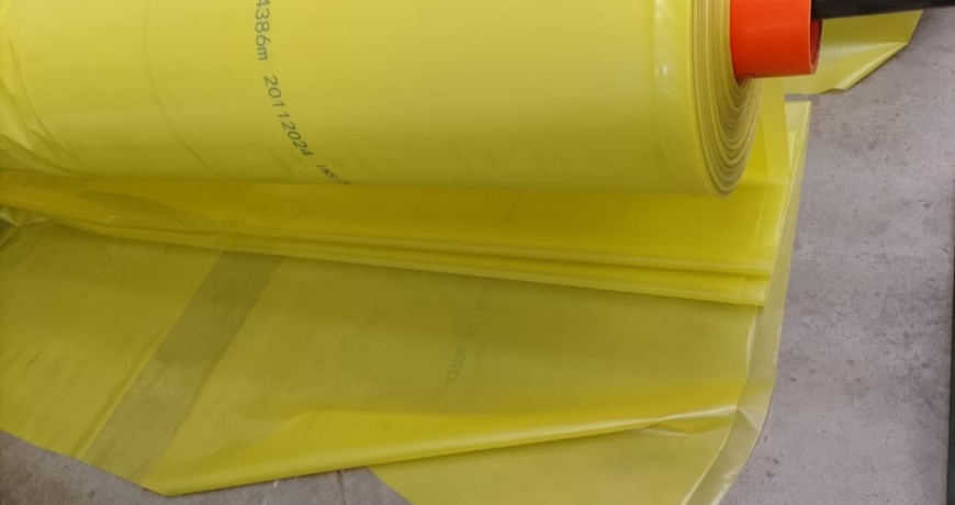 Greenhouse Tomatoes in Kenya: A Profitable Venture.