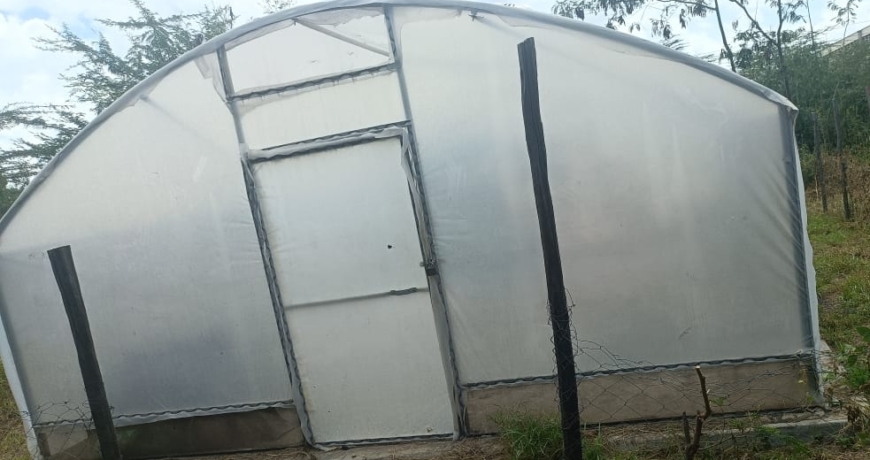  Solar Dryer Costs in Kenya
