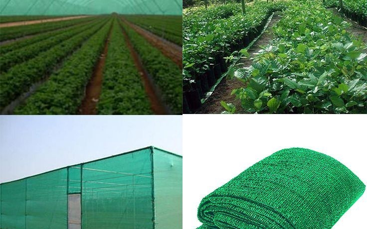 Shade Net Prices in Kenya: A 2025 Buyer's Guide for Farmers