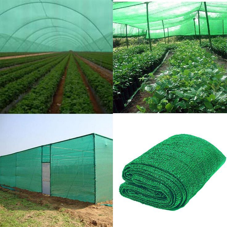 Shade Net Prices in Kenya: A 2025 Buyer’s Guide for Farmers