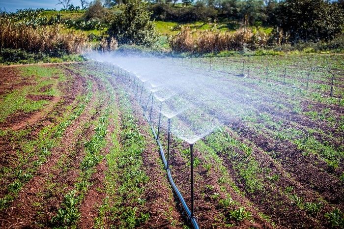 Best Irrigation Companies in Kenya