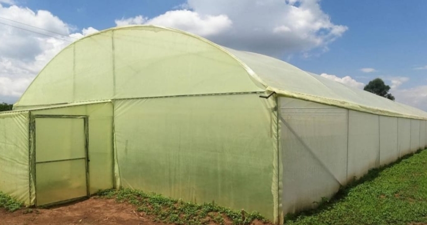 Steel Greenhouse Prices in Kenya