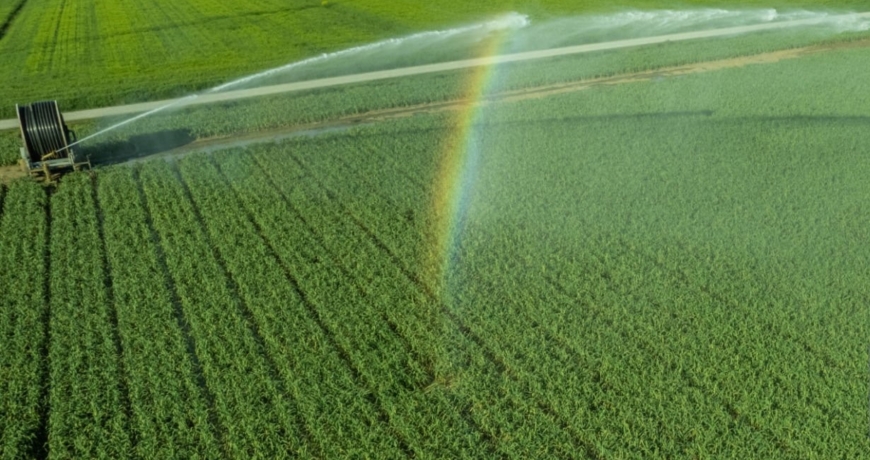 Green-field-irrigation