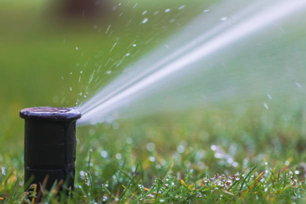 Pop-Up Sprinklers In Kenya