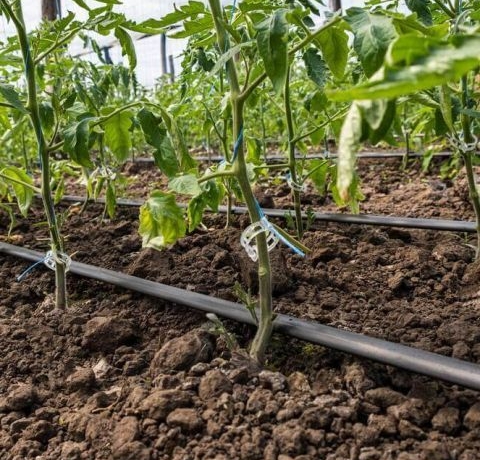 Drip Irrigation Kit Price in Kenya: Complete 2026 Cost Guide