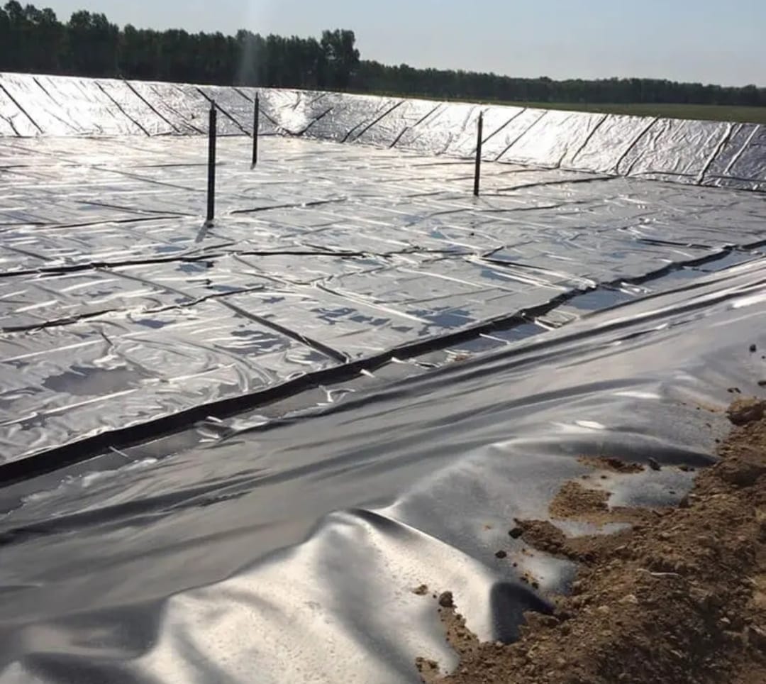 Where to Buy Damliner in Kenya 2026