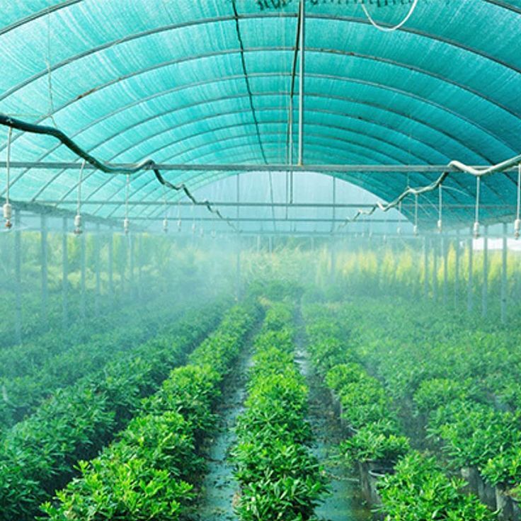 Shade Net Prices in Kenya