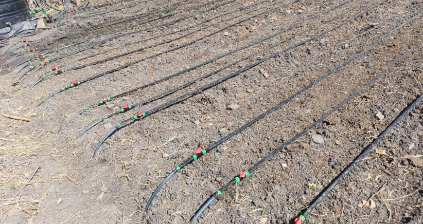 Drip Irrigation Prices in Kenya
