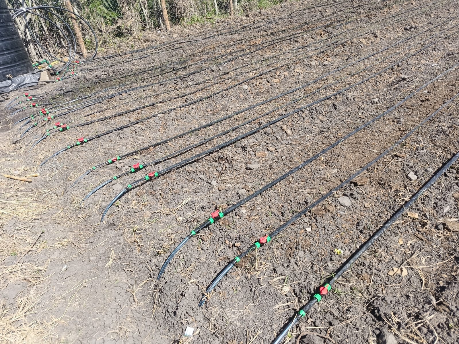 Drip Irrigation Prices in Kenya