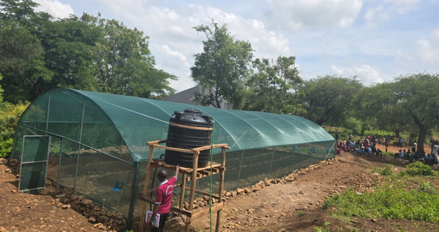 The Ultimate Guide to Low Cost Shadenets in Kenya