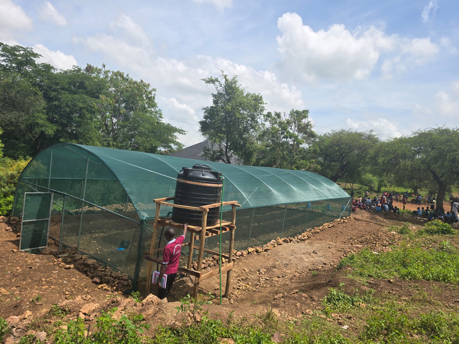 The Ultimate Guide to Low Cost Shadenets in Kenya