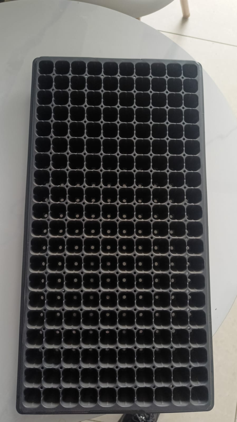 Planting Trays in Kenya