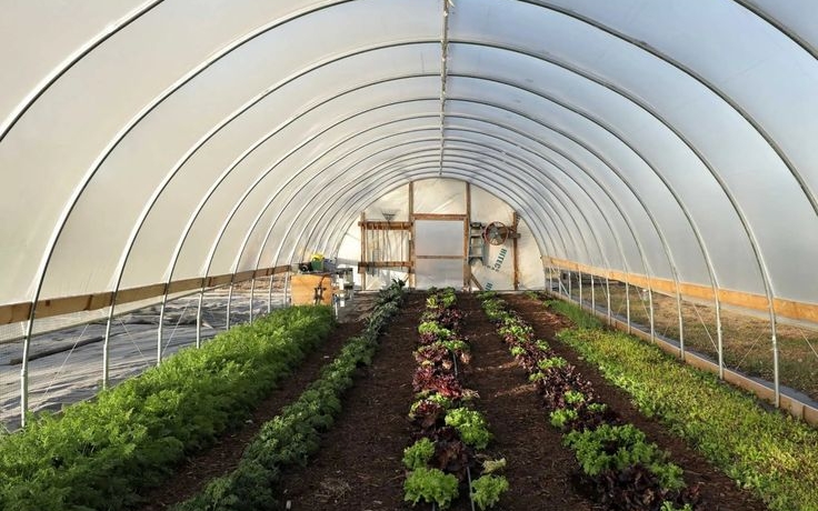 Greenhouse Prices in Kenya