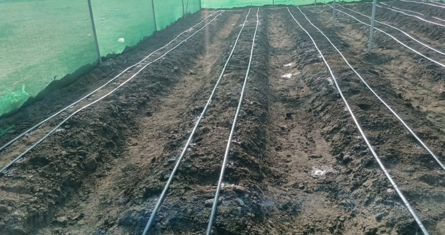 Drip Irrigation Kits Prices in Kenya: A 2026 Buyer’s Guide
