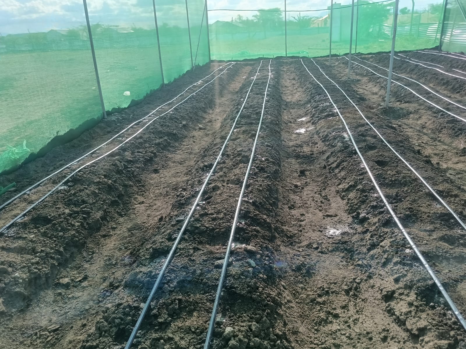 Drip Irrigation Kits Prices in Kenya: A 2026 Buyer’s Guide