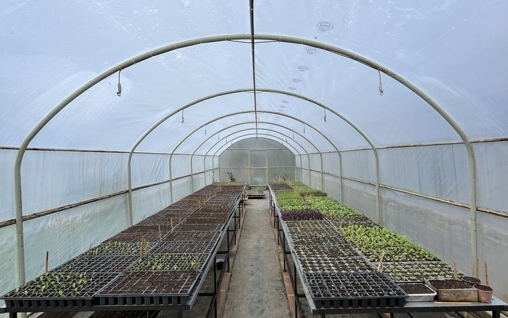 Greenhouse Construction Cost in Kenya