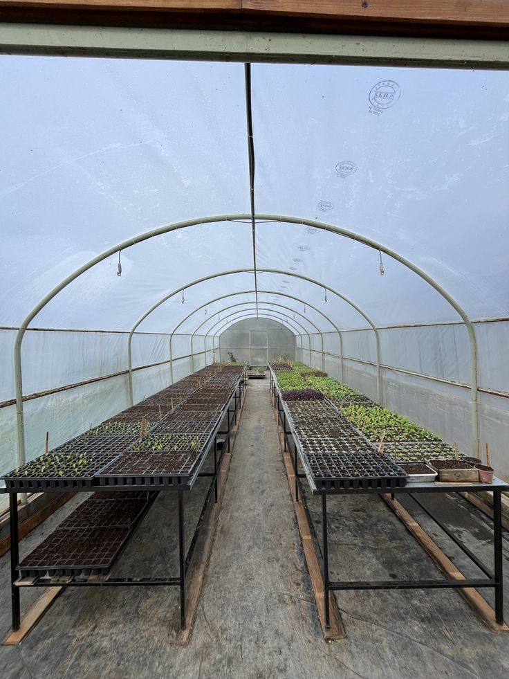 Greenhouse Construction Cost in Kenya