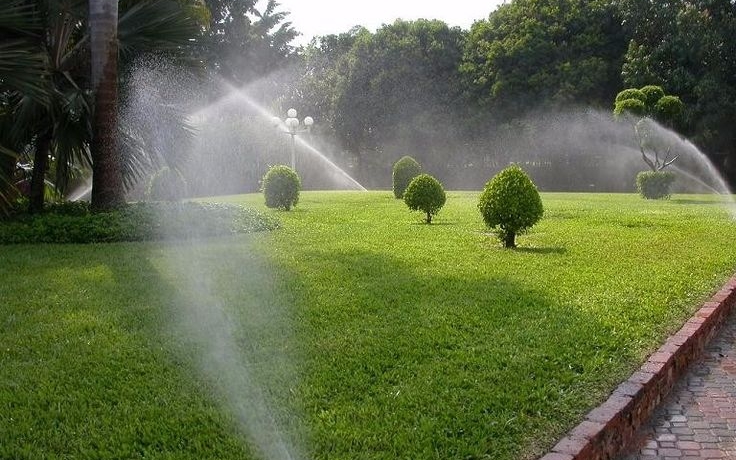 Lawn Irrigation in Kenya