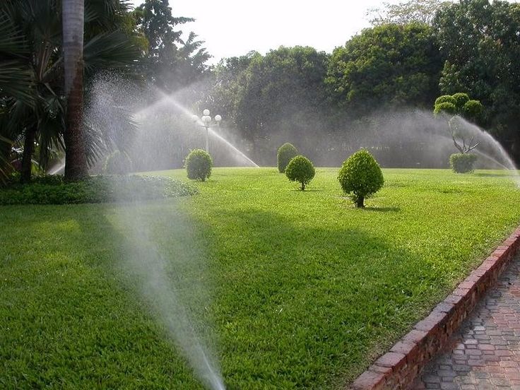 Lawn Irrigation in Kenya