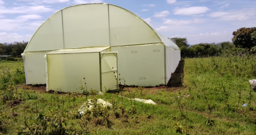 Greenhouse Construction Cost in Kenya