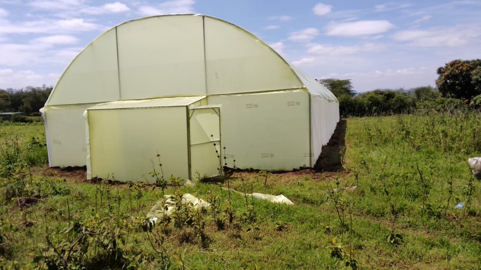Greenhouse Construction Cost in Kenya