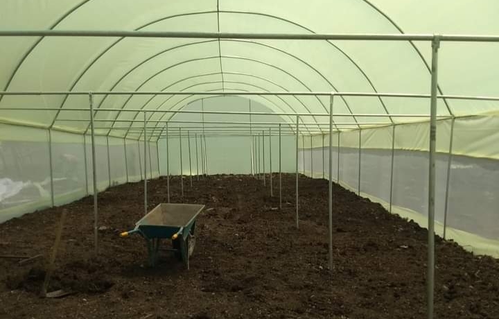 Greenhouse Construction in Kenya