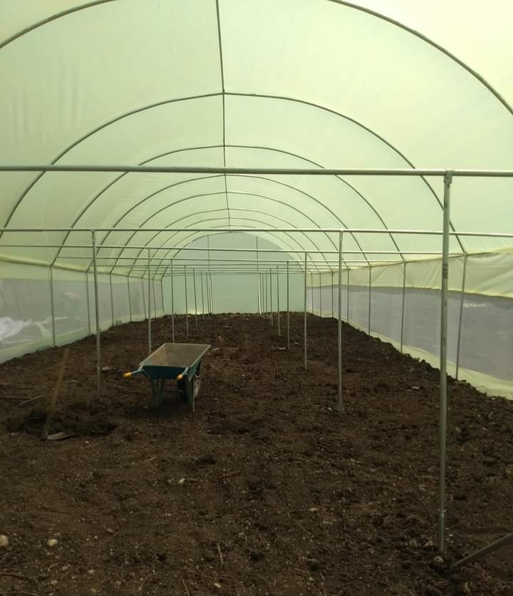 Greenhouse Construction in Kenya