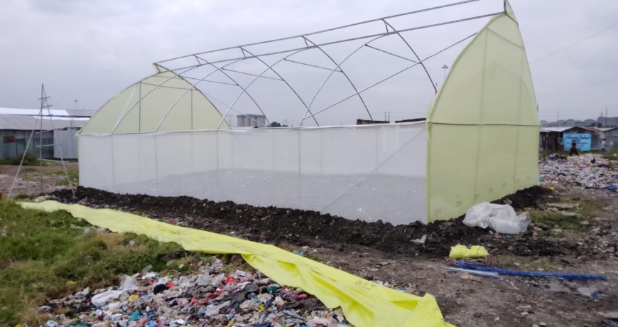 Greenhouse Installation in Kenya