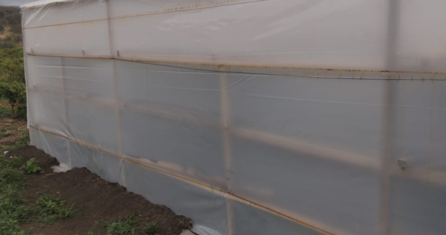 Solar Dryer Prices in Kenya